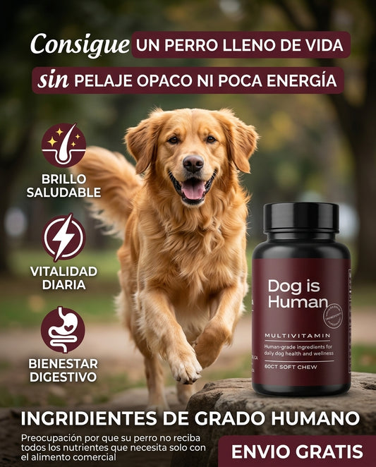 Dog is Human Multivitamin